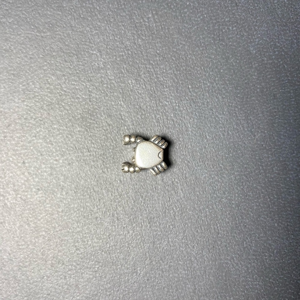 Pandora bracelet charm